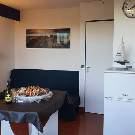 Studio Cabine 25m2 Acces Direct Plage Port Camargue Daire *